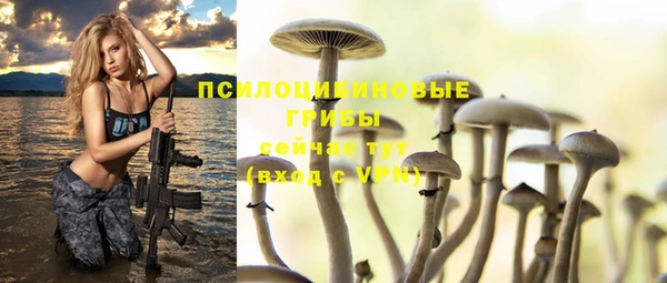 apvp Чердынь
